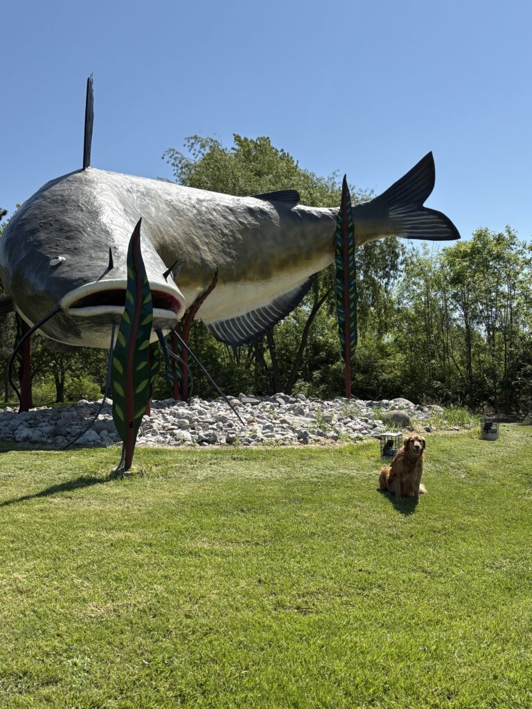 Dunnville Mudcat Festival 2026 parade and summer festival celebration in Ontario